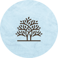 MIABC logo on a blue background